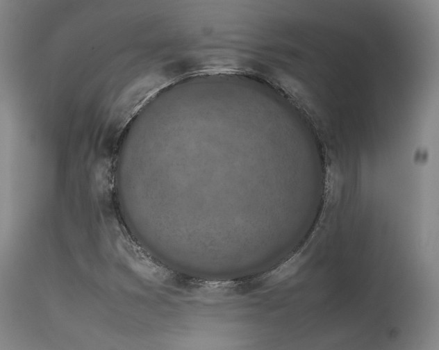 X0000113241353200909171553