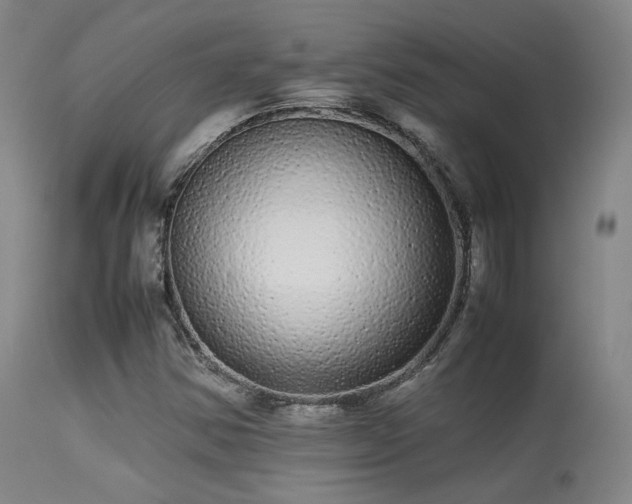 X0000113241354200909171553