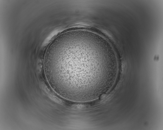 X0000113241355200909171553