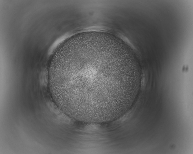 X0000113241358200909171553