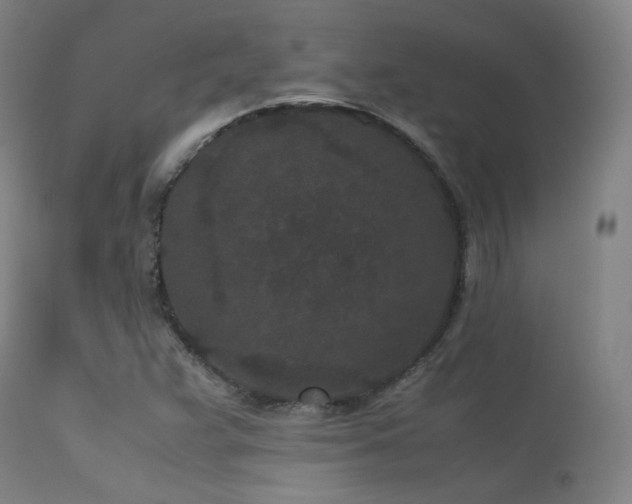 X0000113241359200909171552