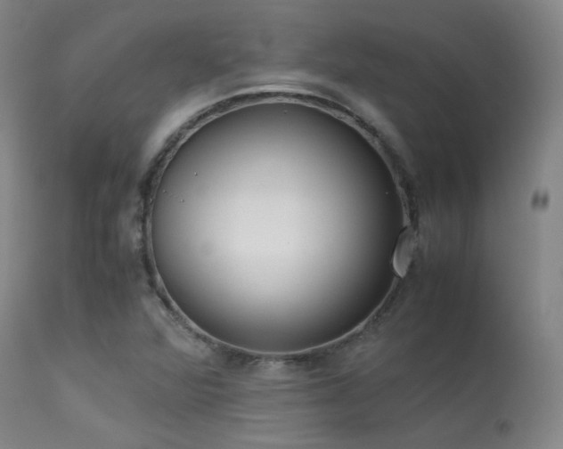 X0000113241360200909171552