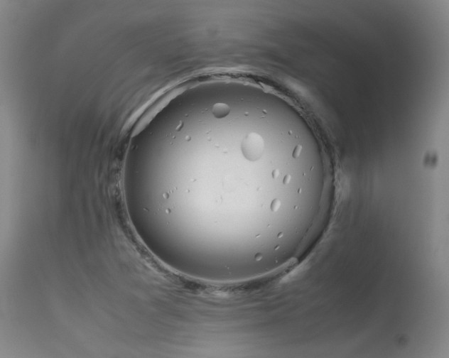 X0000113241361200909171552