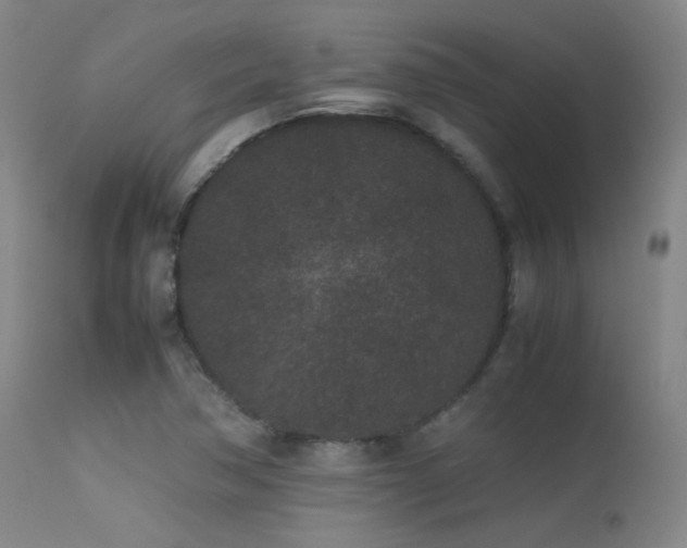 X0000113241362200909171552