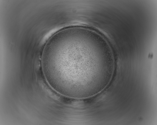 X0000113241363200909171552