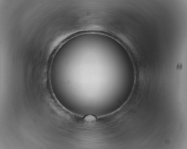 X0000113241364200909171552