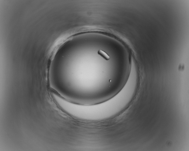 X0000113241365200909171552