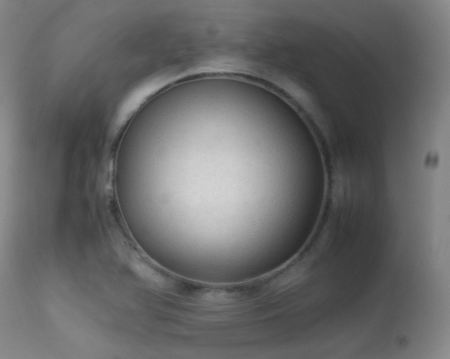 X0000113241366200909171552