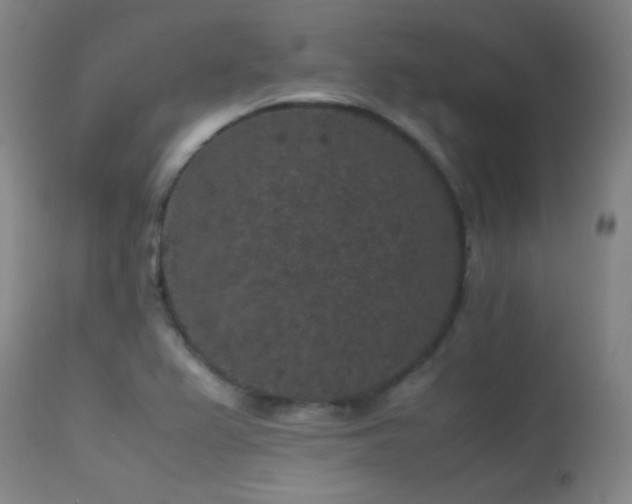 X0000113241367200909171552