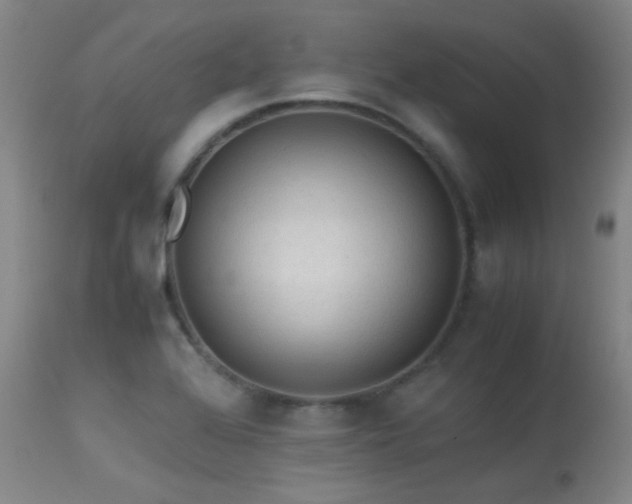 X0000113241368200909171552