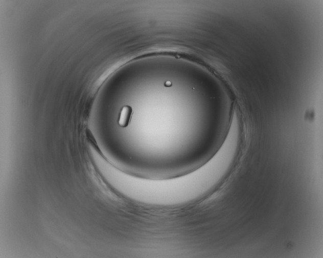 X0000113241369200909171552