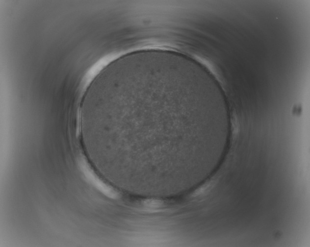 X0000113241371200909171552