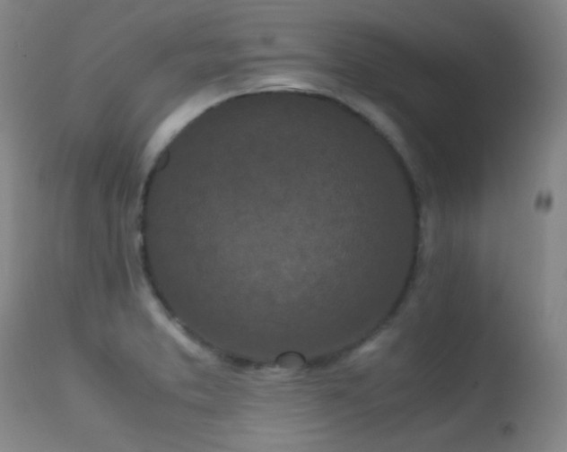 X0000113241373200909171552