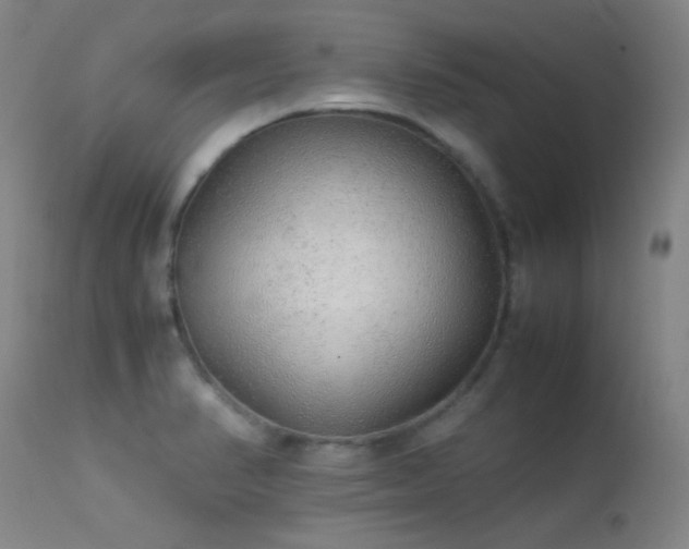 X0000113241374200909171552