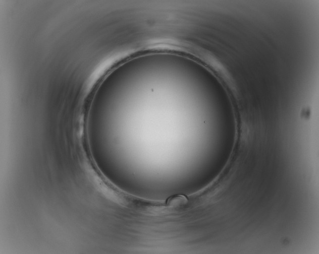 X0000113241376200909171552