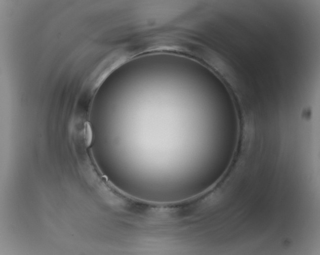 X0000113241377200909171552