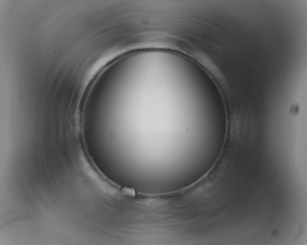 X0000113241380200909171552