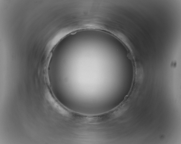 X0000113241381200909171552