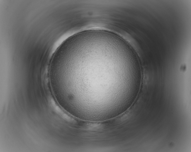 X0000113241382200909171552