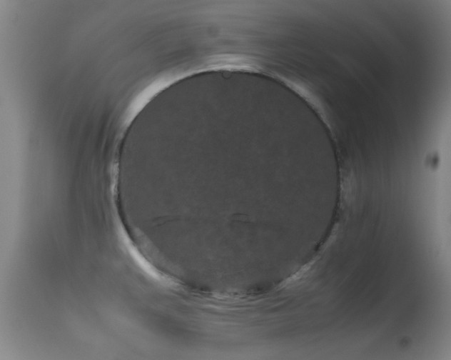 X0000113241383200909171552