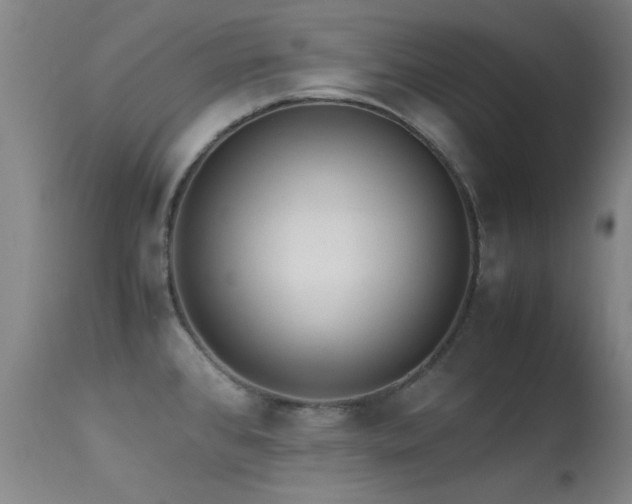 X0000113241384200909171552