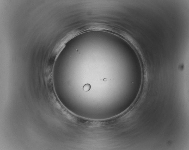 X0000113241385200909171552