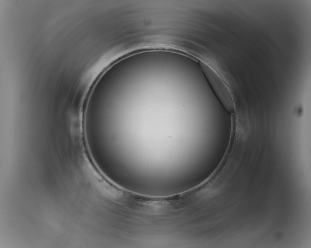 X0000113241388200909171552