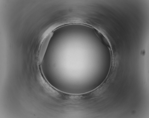 X0000113241389200909171552