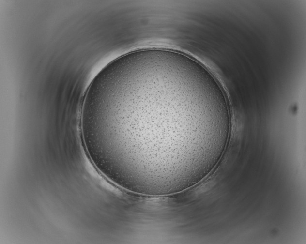 X0000113241390200909171552