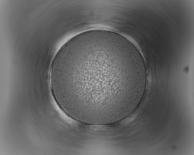 X0000113241391200909171552