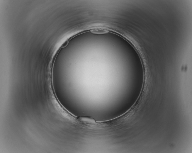 X0000113241392200909171552