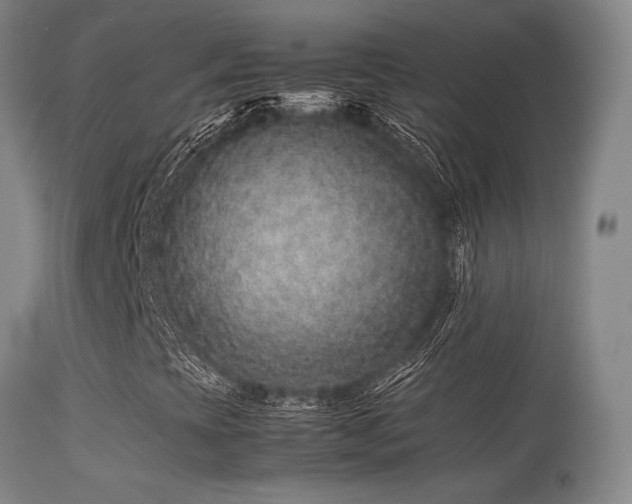 X0000113241393200909171551