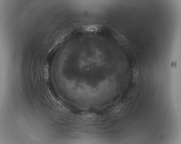 X0000113241394200909171551