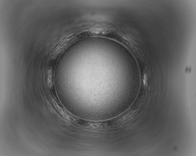 X0000113241396200909171551