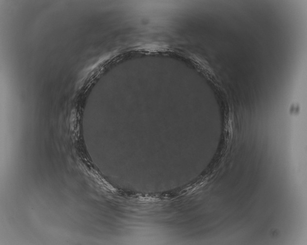 X0000113241398200909171551