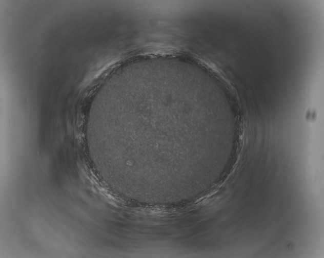 X0000113241399200909171551