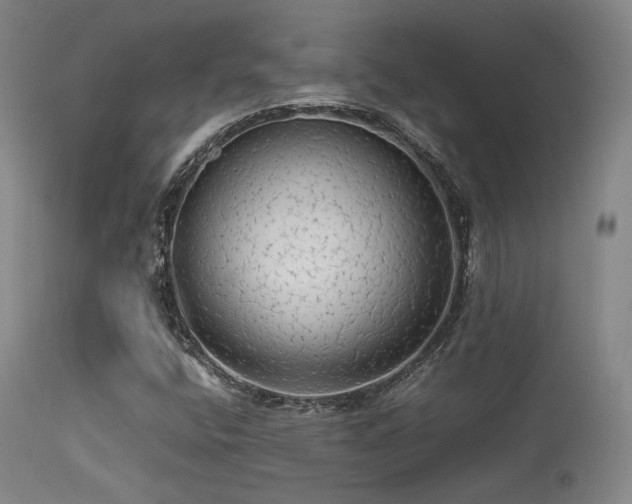 X0000113241400200909171551