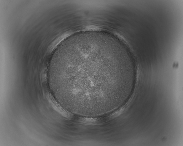 X0000113241401200909171551