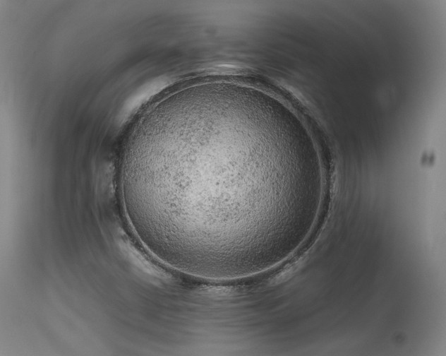 X0000113241402200909171551