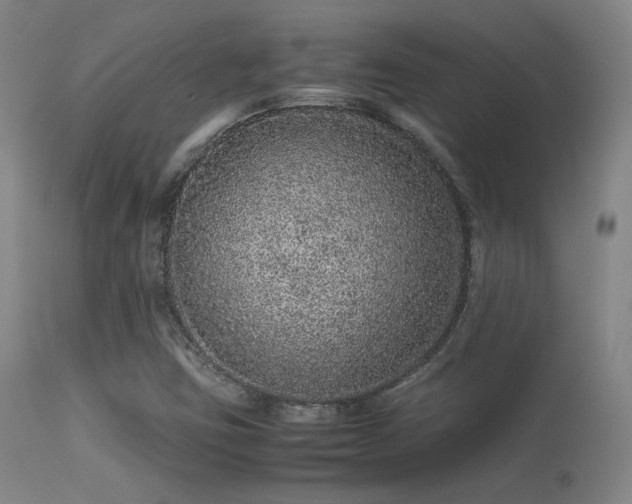 X0000113241403200909171551