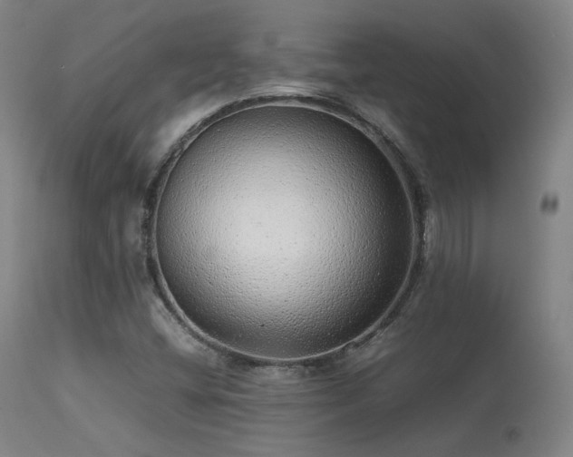 X0000113241404200909171551