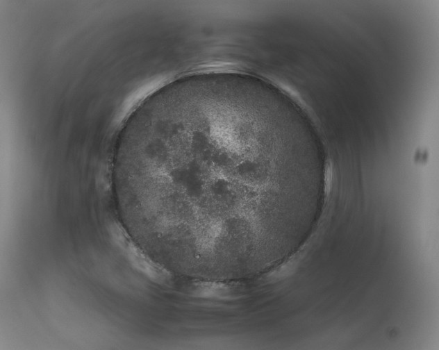 X0000113241405200909171551