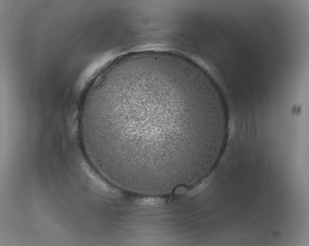 X0000113241406200909171551