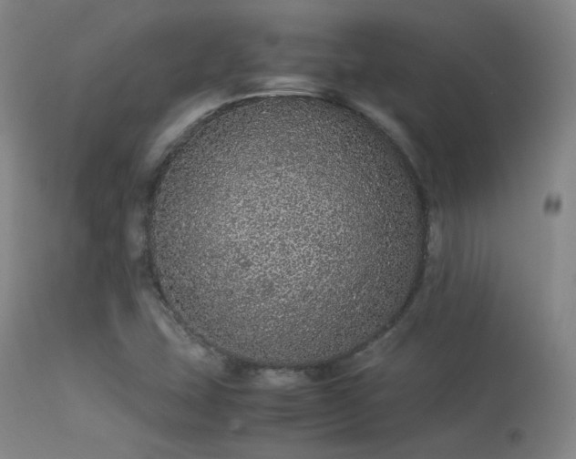 X0000113241407200909171551