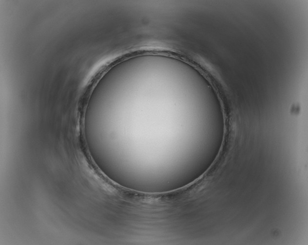 X0000113241408200909171551