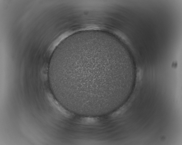 X0000113241409200909171551