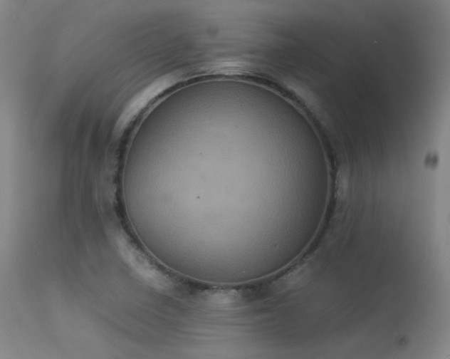 X0000113241410200909171551