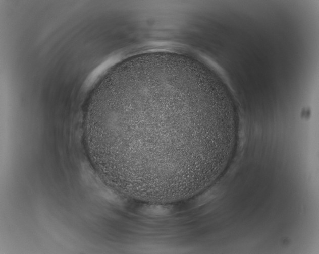 X0000113241411200909171551