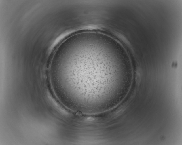 X0000113241412200909171551