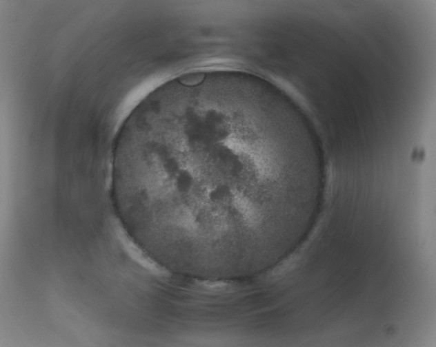 X0000113241413200909171551